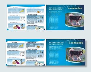 狂犬病防治知识图片