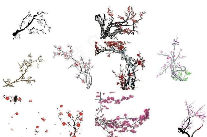 梅花图片cdr矢量模版下载