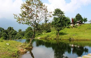 黑竹沟马里冷觉图片