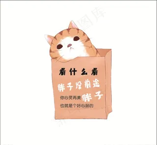 胖子猫图片