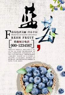 蓝莓海报图片