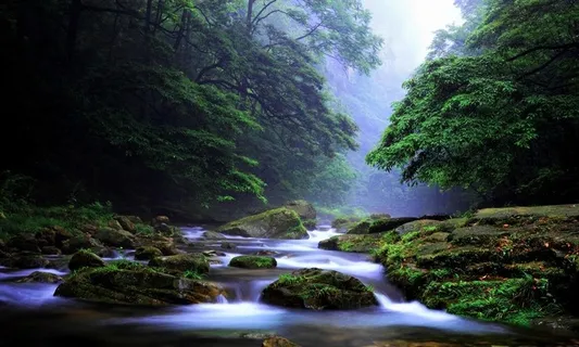 张家界金鞭溪图片