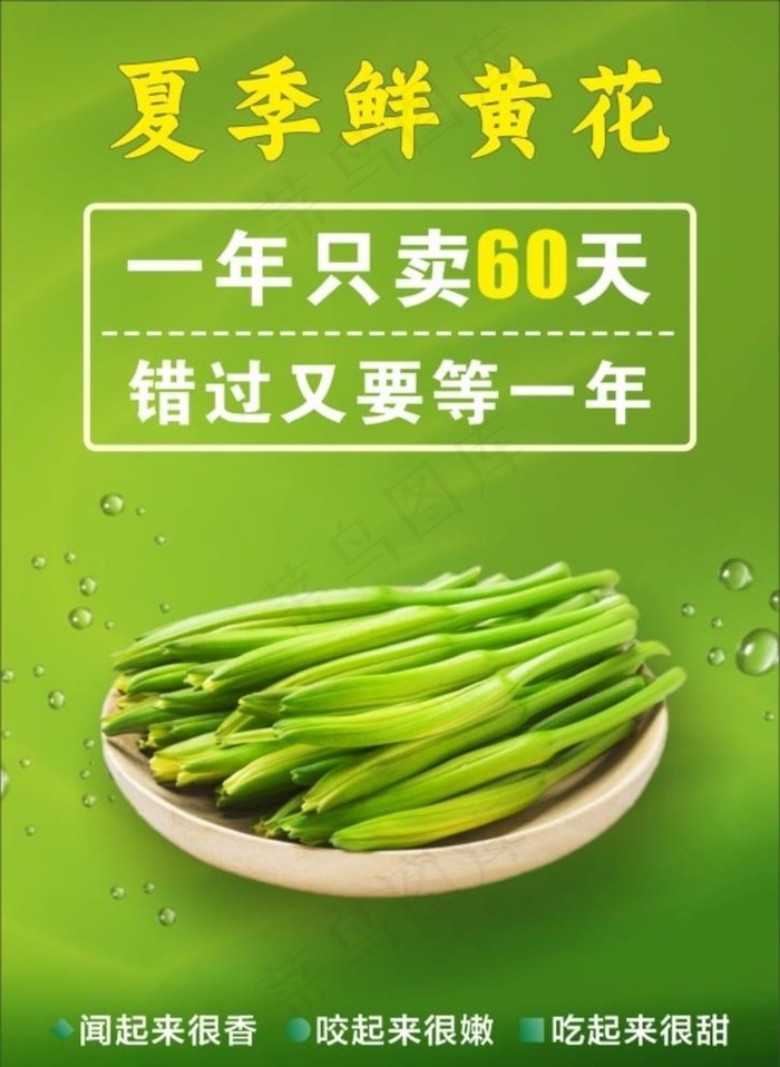 黄花菜海报图片cdr矢量模版下载