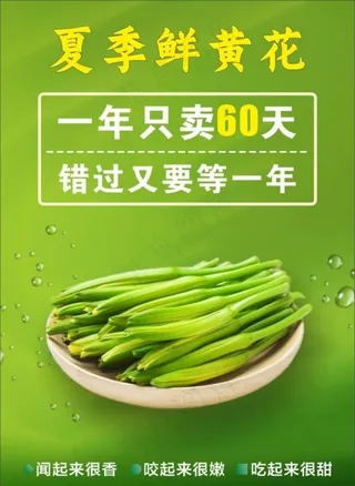 黄花菜海报图片