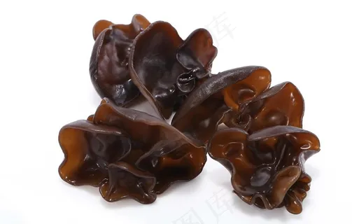 木耳图片 木耳图片