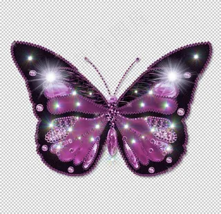 精美蝴蝶图案图片