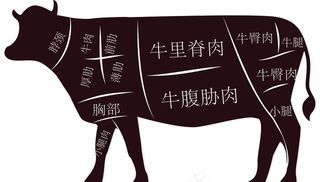 牛肉分割图图片