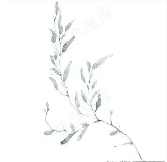 小清新水彩植物树枝图片