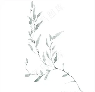 小清新水彩植物树枝图片