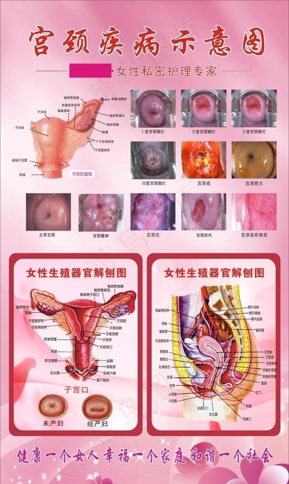 宫瑞婷图片cdr矢量模版下载