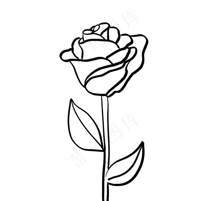 玫瑰花线稿图片psd模版下载