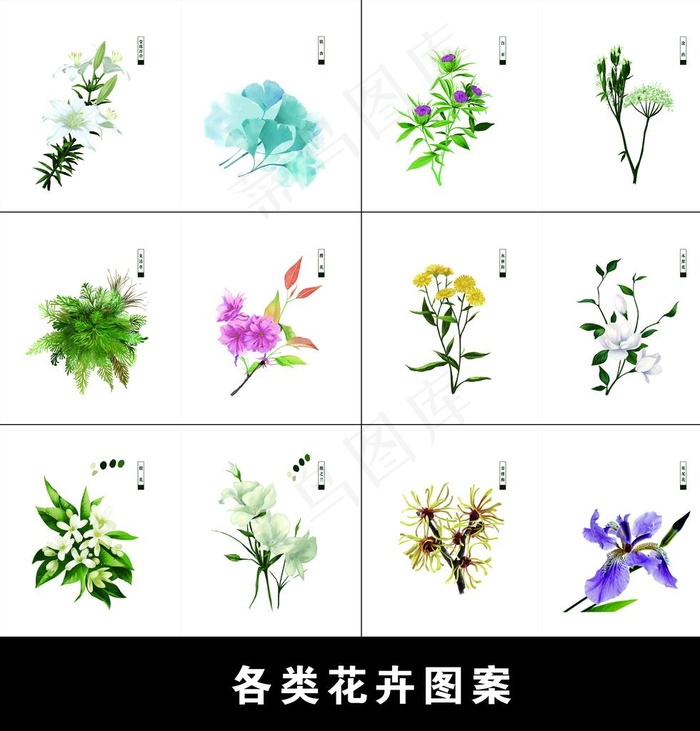 花卉图案图片