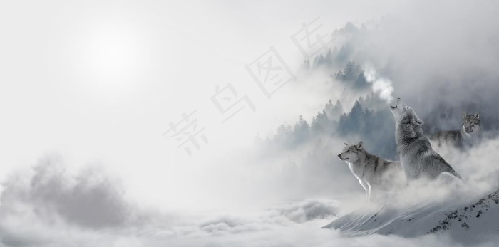 高清合成雪狼雪天4K壁纸图片