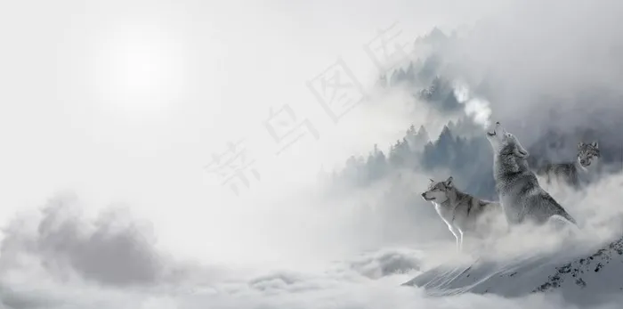 高清合成雪狼雪天4K壁纸图片