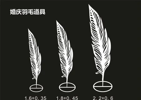 婚礼羽毛图片