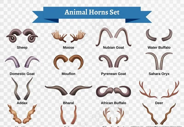 羊角鹿角图片ai矢量模版下载