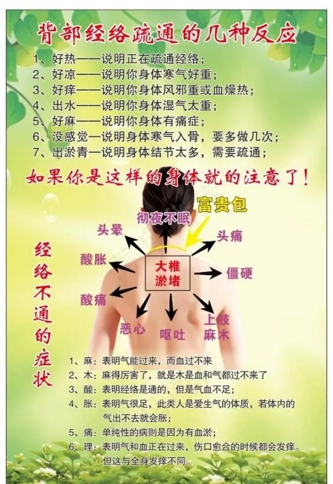 背部经络疏通图片(210X297)cdr矢量模版下载