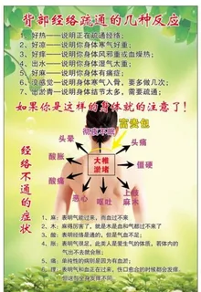 背部经络疏通图片