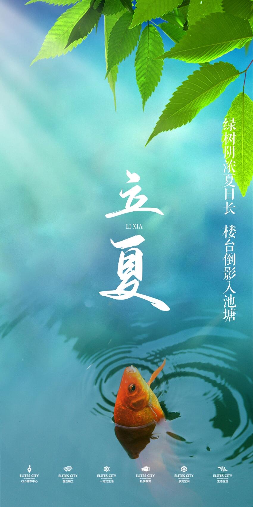 立夏图片(850X1701(DPI:72))psd模版下载