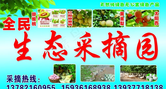 生态采摘园图片