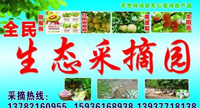 生态采摘园图片(9646X5512(DPI:70))psd模版下载