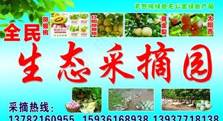 生态采摘园图片