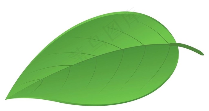 树叶图片