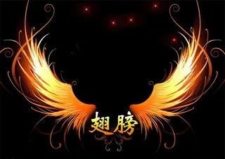 金色翅膀图片