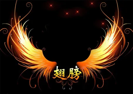 金色翅膀图片 金色翅膀图片