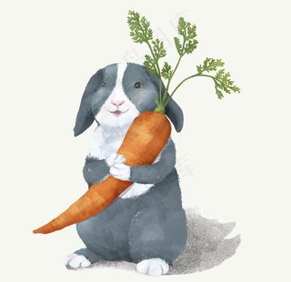 兔子图片
