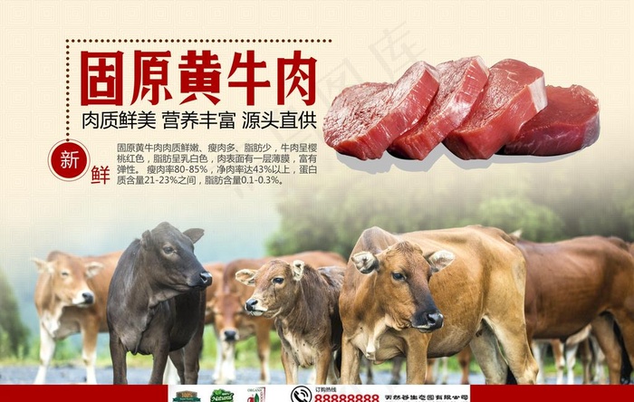 海报设计 牛羊肉宣传 广告宣传图片(4725X3149(DPI:100))psd模版下载