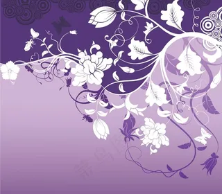 曼陀罗花牡丹花单色调图片