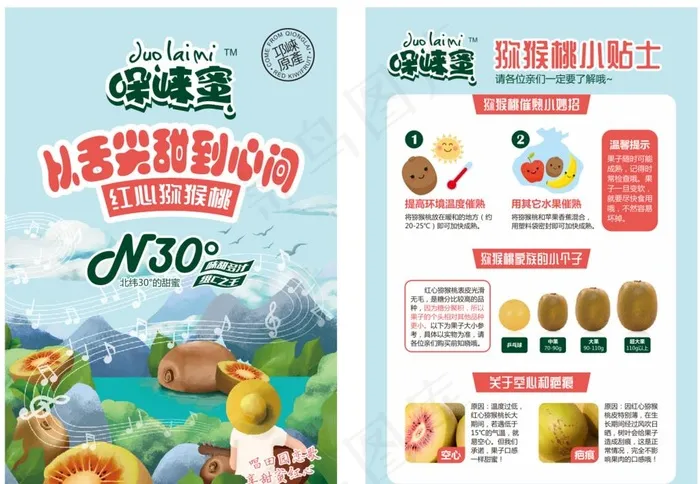猕猴桃小贴士图片cdr矢量模版下载