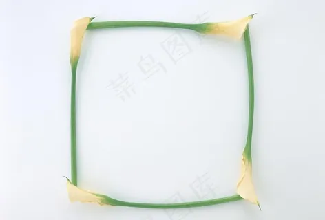 方形花朵创意边框图片