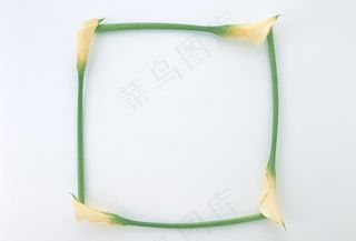 方形花朵创意边框图片