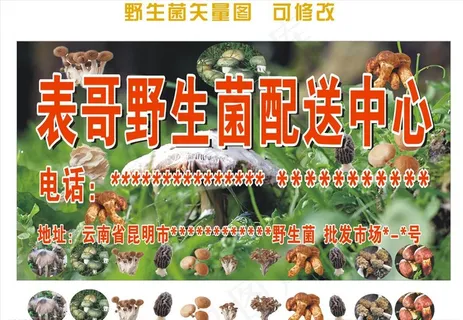 野生菌 菌子图图片 野生菌 菌子图图片