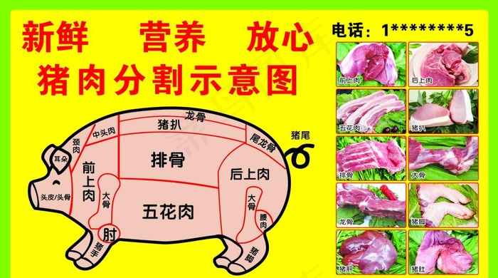 猪肉分割图海报图片