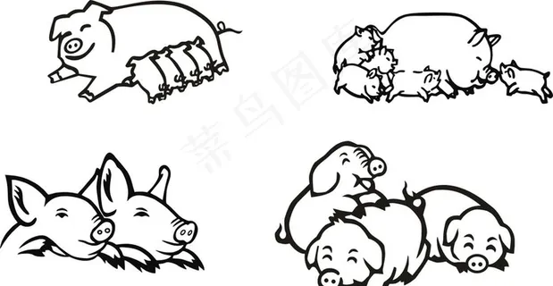 线条猪图片