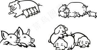 线条猪图片