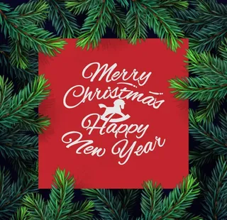 松枝圣诞贺卡图片