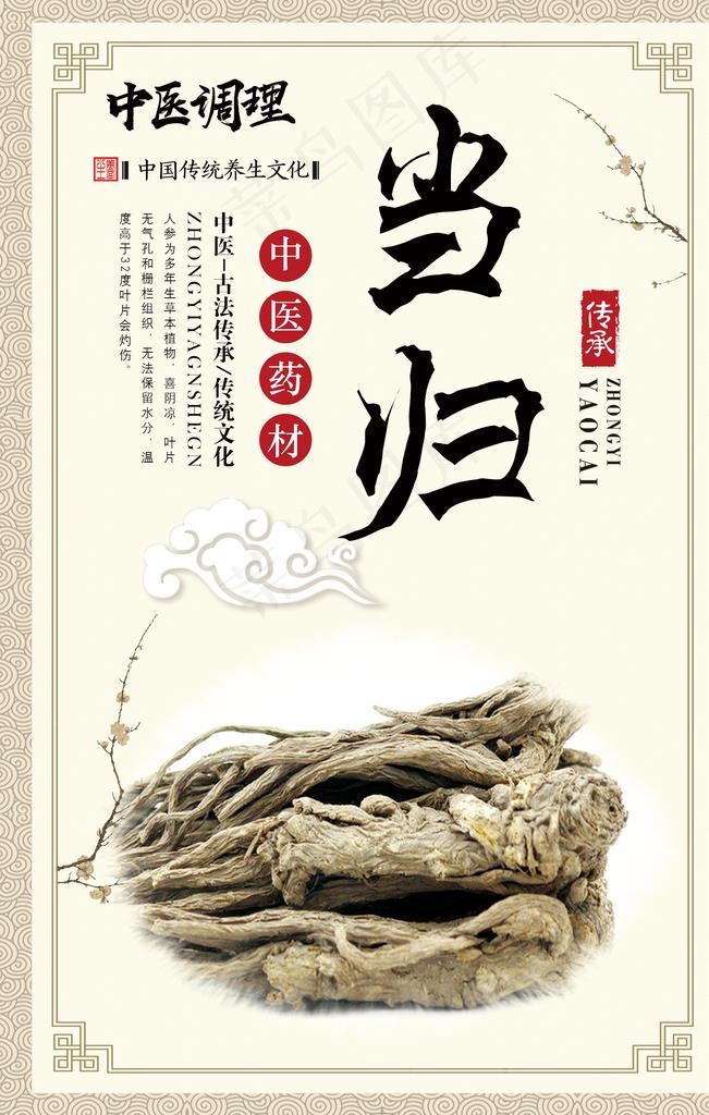 当归图片(1772X2657(DPI:150))psd模版下载