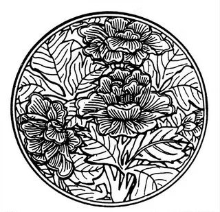 中国传统牡丹图片