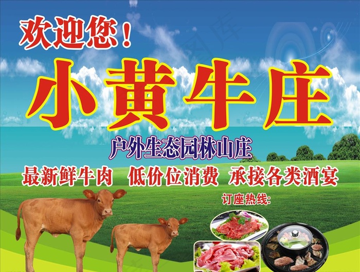 小黄牛图片(210X297)cdr矢量模版下载