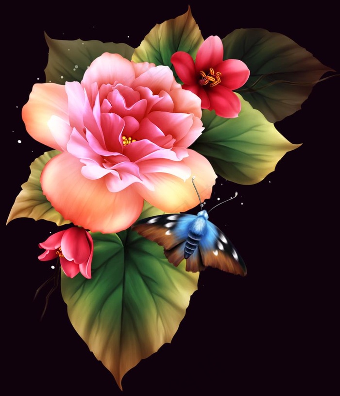手绘花图片
