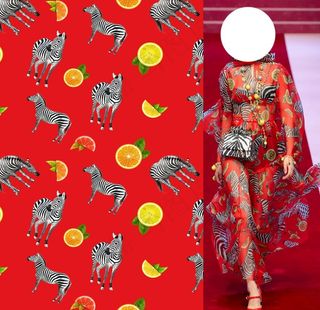 大牌女装 斑马图片