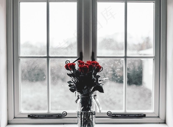 窗台上的花图片