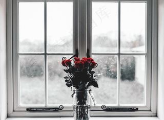 窗台上的花图片