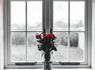 窗台上的花图片