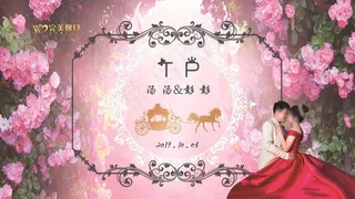 粉色 樱花 婚礼 主背景图片