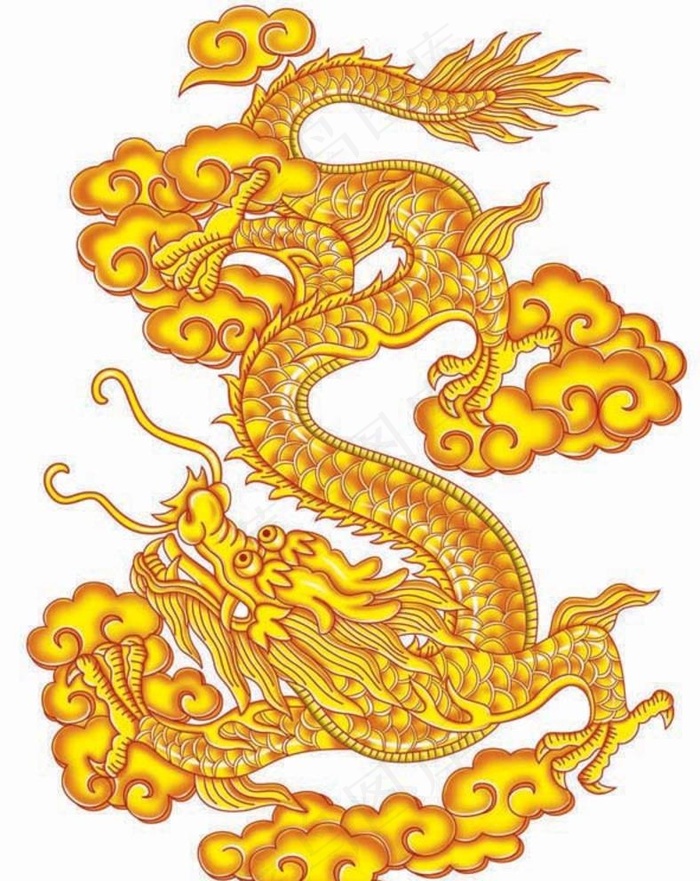 黄金龙图片